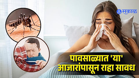 Monsoon Health Alert: From Dengue to Viral Fever, How to Stay Safe This Rainy Season