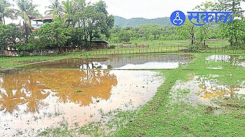 IMD orange alert Sindhudurg district