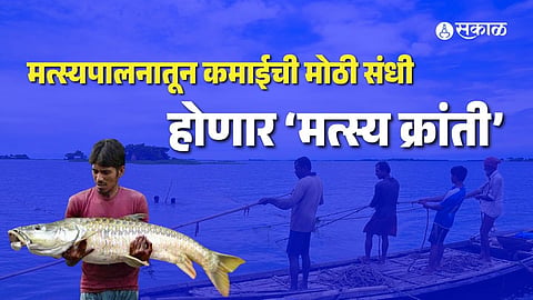 MP government fisheries development scheme