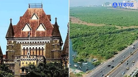 Development vs Environment: 208 Mangroves Cleared for Port Connectivity Project