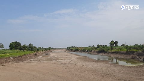 Farmers in Distress as Water Levels Plunge and Crop Sowing Stalls in Madha Taluka