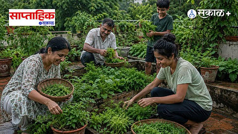 Wild Vegetables Cultivation