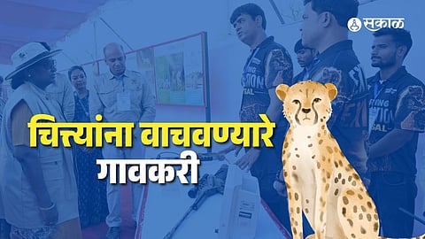 Kuno's Cheeta Mitras Highlight Cheetah Conservation and Village Safety Measures