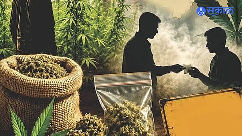 Police Crack Down on Inter-District Ganja Syndicate; Three Held in Latest Operation