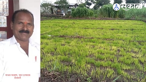 Farmer Madhav Chavan