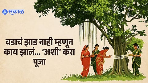 What To Do If There Is No Banyan Tree on Vat Purnima