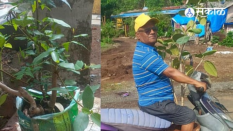 Environmental awareness initiative 'Vatsavitri to Vatadharitri' organized in Pen