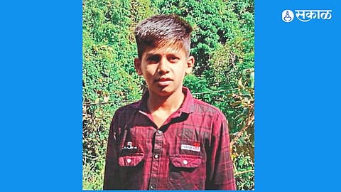 Boy Rushes from Dinner to Save Cat, Dies in Fatal Electric Shock