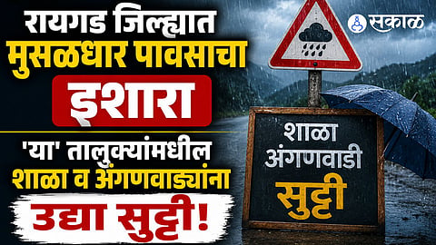 Raigad district declared a school holiday in seven talukas following the IMD's heavy to extremely heavy rainfall alert.