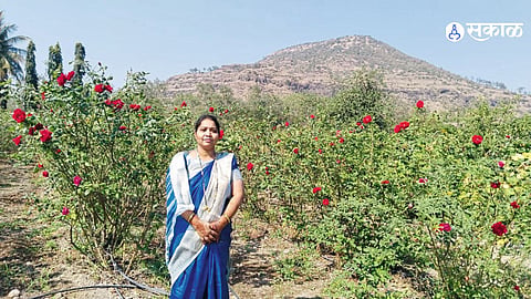 33 Gunthas, Thousands of Roses, and a Success Story Inspiring Maharashtra Farmers