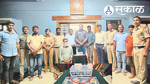 leopard body parts seized in Sindhudurg