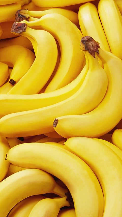 Why Banana is Curved