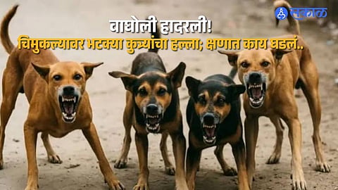 Horrific Stray Dog Attack in Wagholi: Six-Year-Old Suffers Serious Neck Injuries