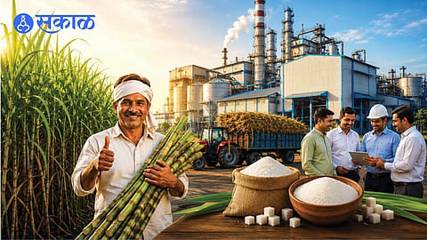 Sugar factory Sugar rate