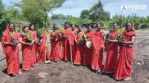 Women farmers from Bhivdhanora have set an example in water conservation and sustainable farming through the Paani Foundation competition.