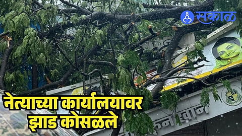 Tree Collapsed On Haroon Khan Office