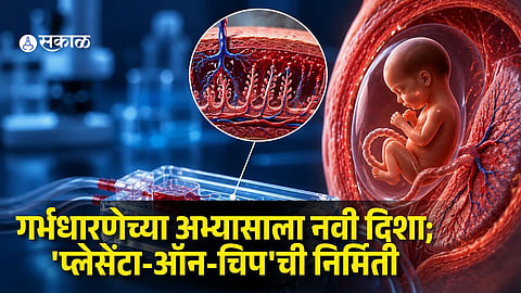 Latest Pregnancy Research 2026| New Placenta-on-Chip Technology Could Transform Pregnancy Research and Maternal Health