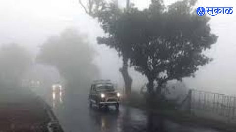 Monsoon Intensifies in Satara; Mahabaleshwar Records Season's Heaviest Rain