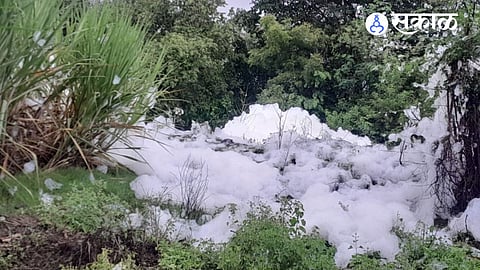 Authorities have been urged to test water samples and take strict action if environmental violations are confirmed.