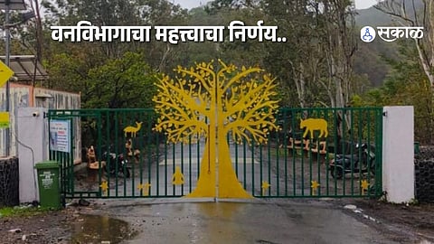 Heavy Rain Alert: Sinhagad Ghat Temporarily Closed for Visitors in Pune
