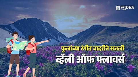 valley of flowers uttarakhand