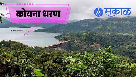 Koyna Dam heavy rain latest news