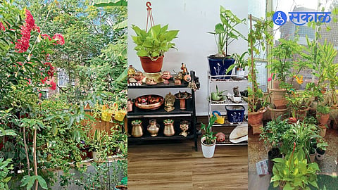 Using kitchen waste as natural compost helps maintain healthy plants and encourages eco-friendly gardening at home.
