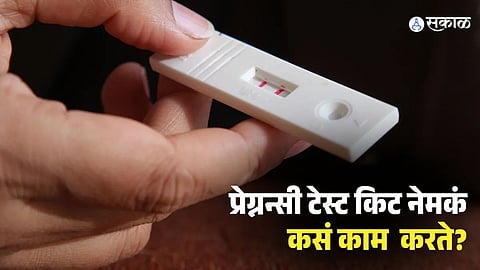 Pregnancy Test Kit, How Pregnancy Test Works