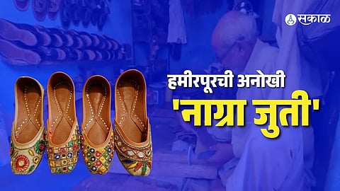 hamirpur nagra juti