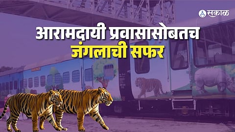 dudhwa tiger safari vistadome train