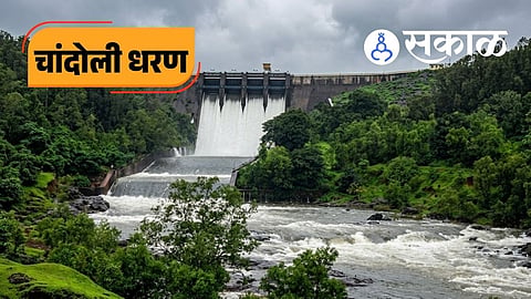 Chandoli Dam heavy rainfall update