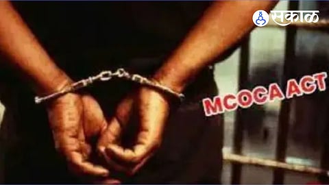 mokka crime