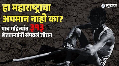 West Vidarbha Reports 313 Farmer Death Cases in Five Months 