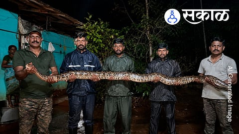 Giant python rescued from house in Palghar