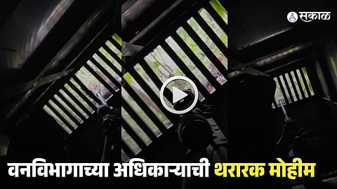 Viral Video
