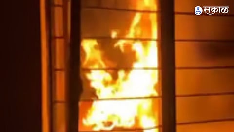 Domestic Dispute Turns Tragic in Pune; House Torched, Three Pet Cats Killed