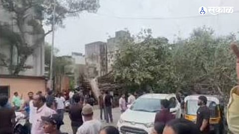 Two Women Injured After Massive Banyan Tree Falls in Pune's Parvati Area