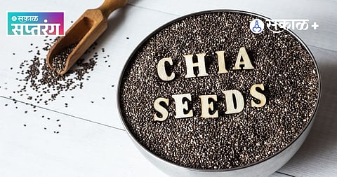 Chia seed farming