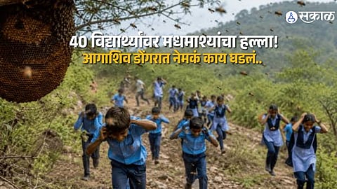 Tree Plantation Mission Turns Terrifying as Bee Swarm Injures 40 Students in Karad