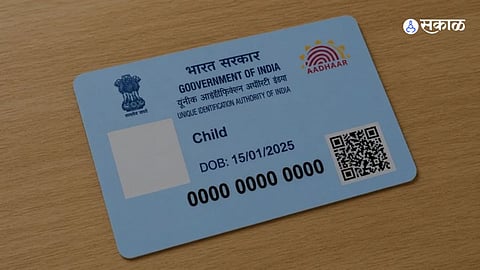 Blue Aadhaar Card