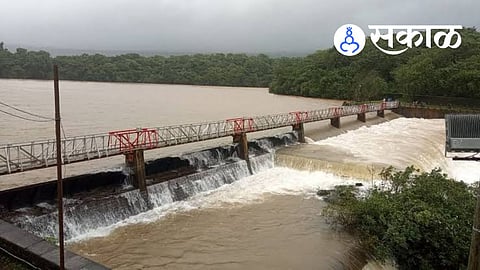 Radhanagari dam water storage latest