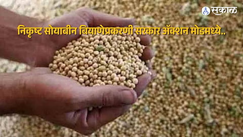Akola Fake Soybean Seed Row: State Government Steps In with High-Level Review