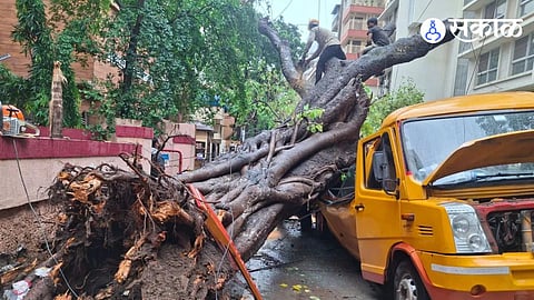 Chembur Tree Collapse