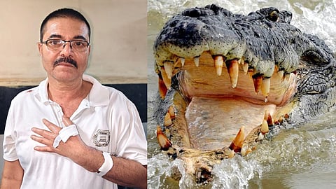 Crocodile attack on swimmer in Sangli