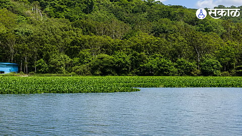 Pune