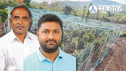 apple orchard protection from monkeys