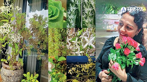 A small home garden with flowering, medicinal and ornamental plants can bring peace, positivity and joy to everyday life.