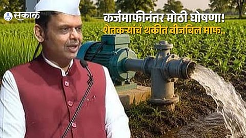 Fadnavis Announces ₹48,000 Crore Farm Power Bill Waiver, Promises 12 Hours of Free Electricity