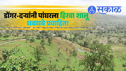 Chandoli Sanctuary monsoon tourism guide