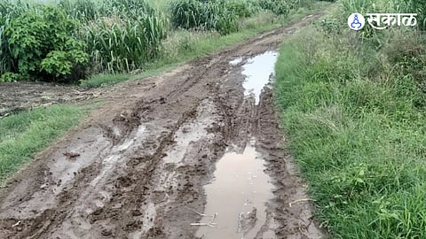 Students, senior citizens, women and farmers face daily hardships while commuting, prompting calls for urgent action from the administration.